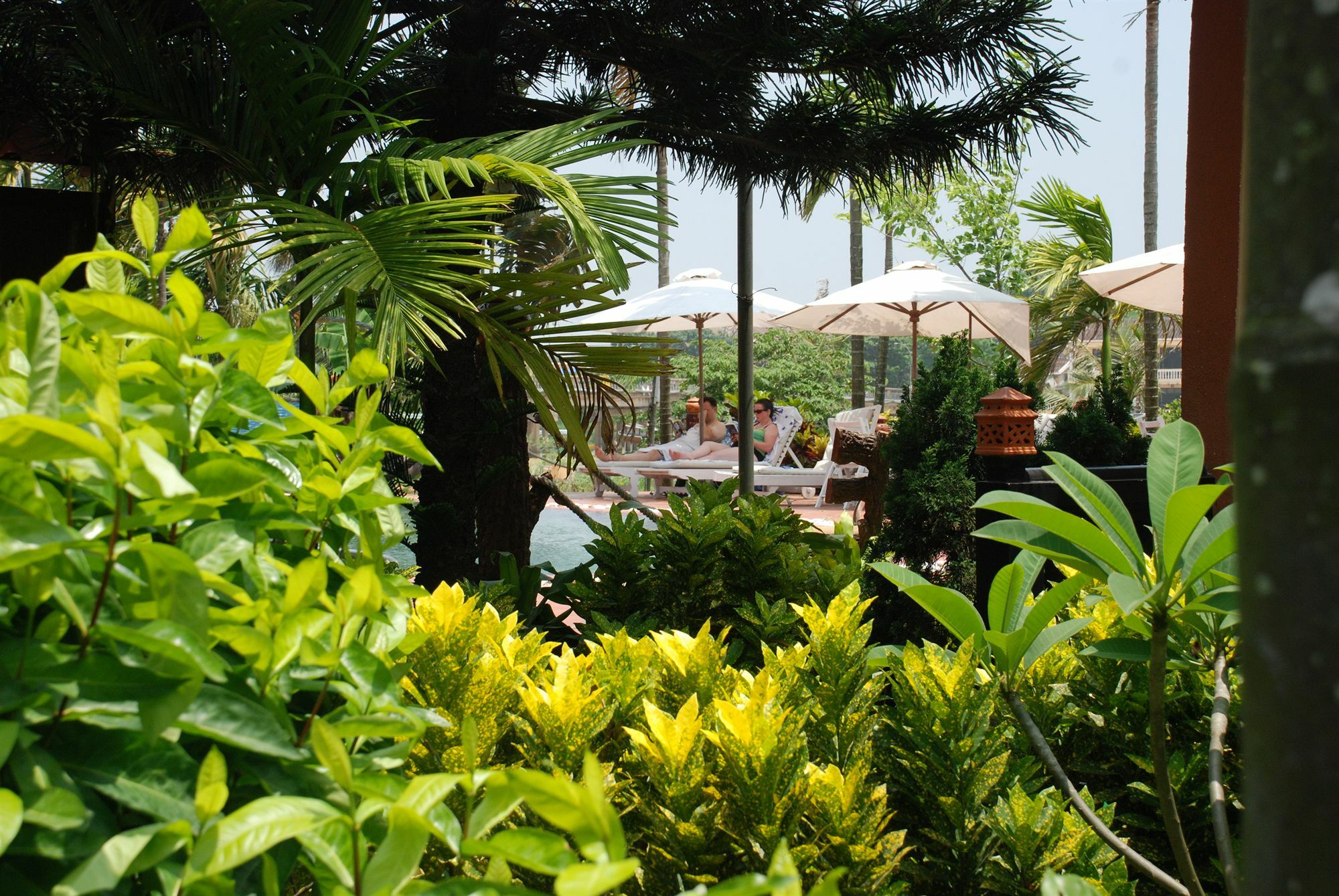 Pho Hoi Riverside Resort Χόι Αν Εξωτερικό φωτογραφία